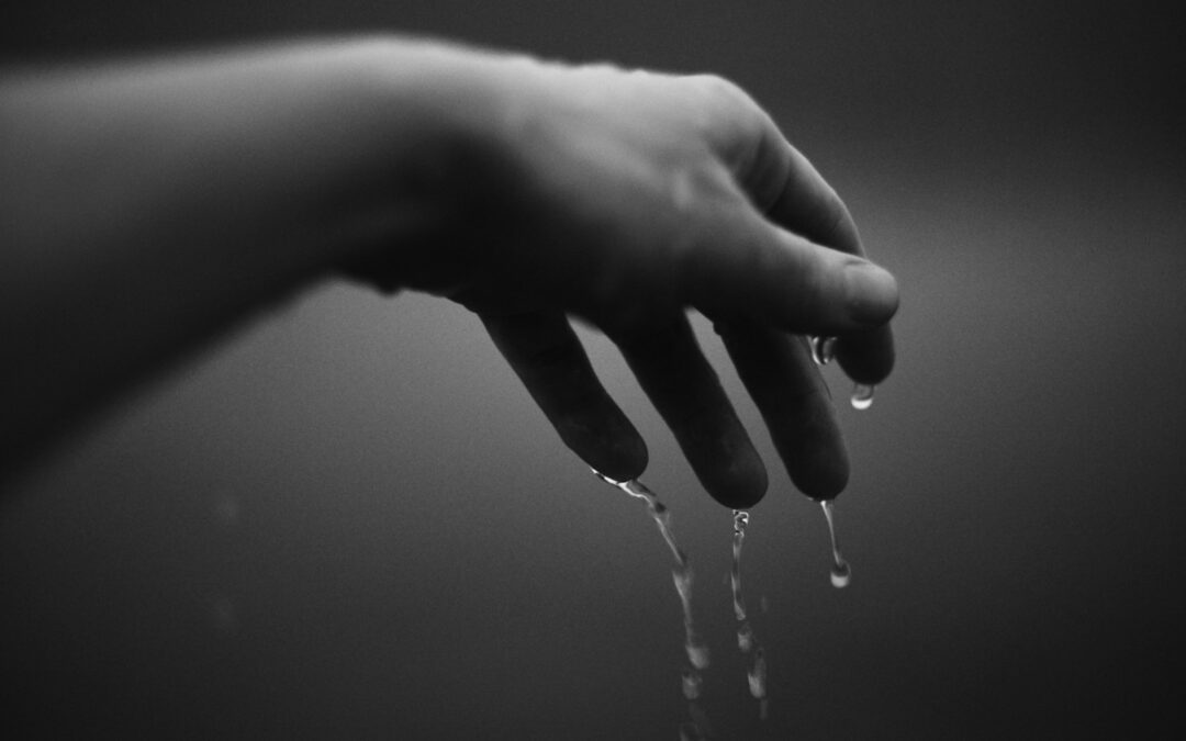 Focus Scène (Théâtre/Danse)